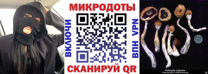 наркотики  Азов  Псилоцибиновые грибы мухоморы 